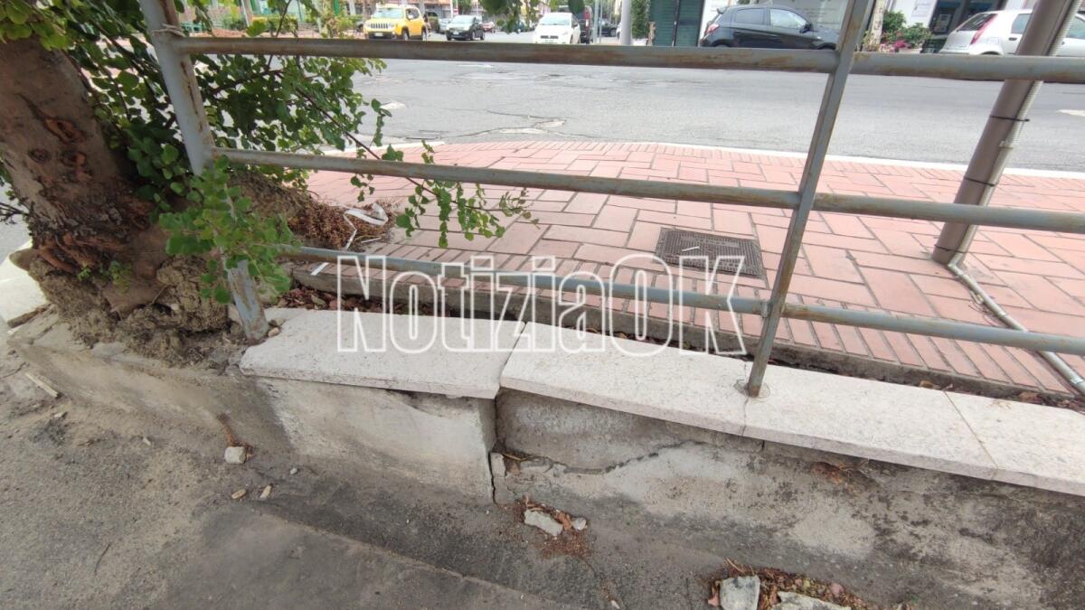 Nei quartieri di Crotone: alberi da sfondamento, in via Mario Nicoletta c'è di tutto - 