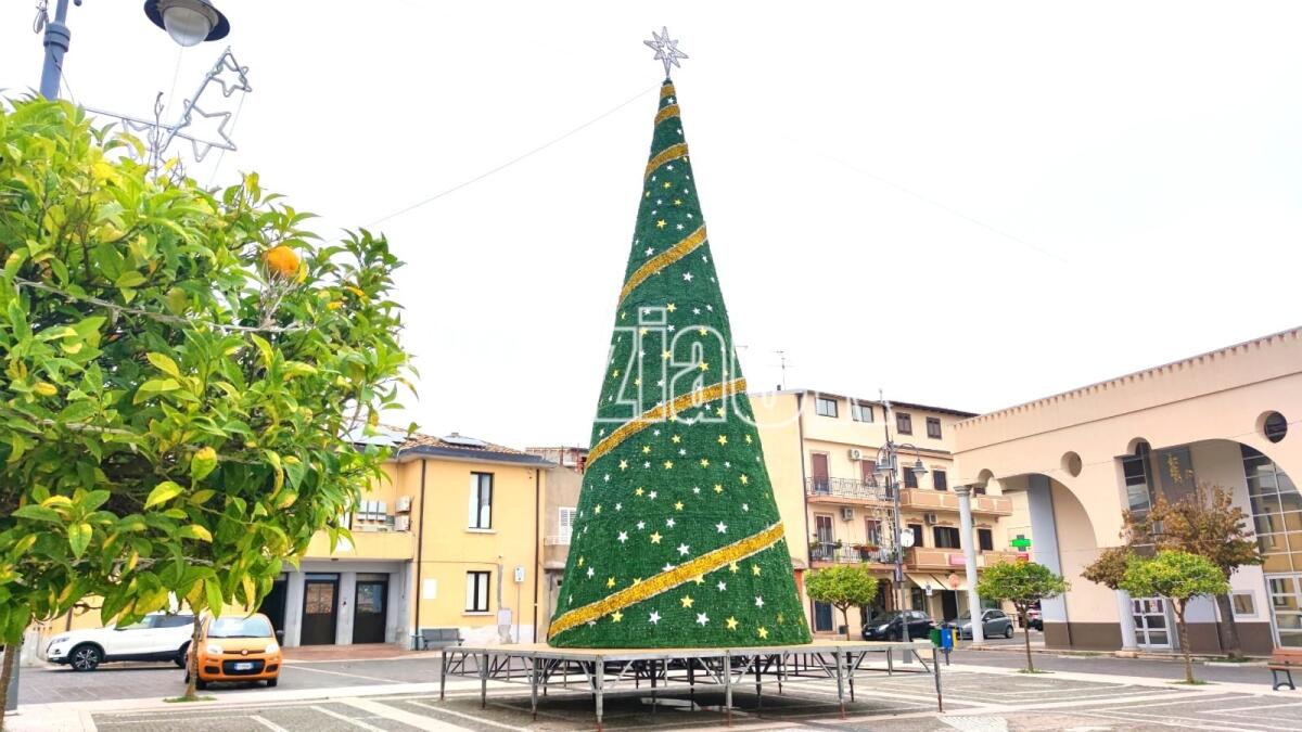 (Video) Isola di Capo Rizzuto, aria di Natale: in Piazza del Popolo arriva l'albero - 