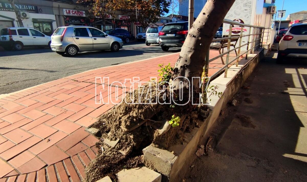 (Video) Nei quartieri di Crotone: un Natale "Rock", ma ci sono ancora tanti problemi da risolvere - 