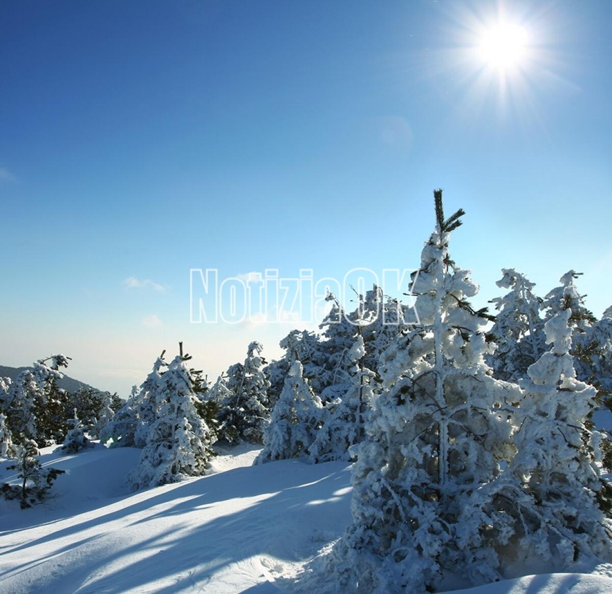 È ufficialmente inverno, i fiocchi della neve imbiancano la Sila - 