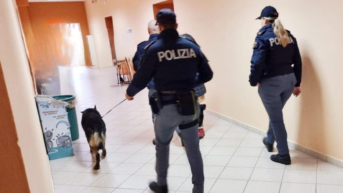 Castrovillari - Durante una perquisizione trovata droga ed una pistola - 