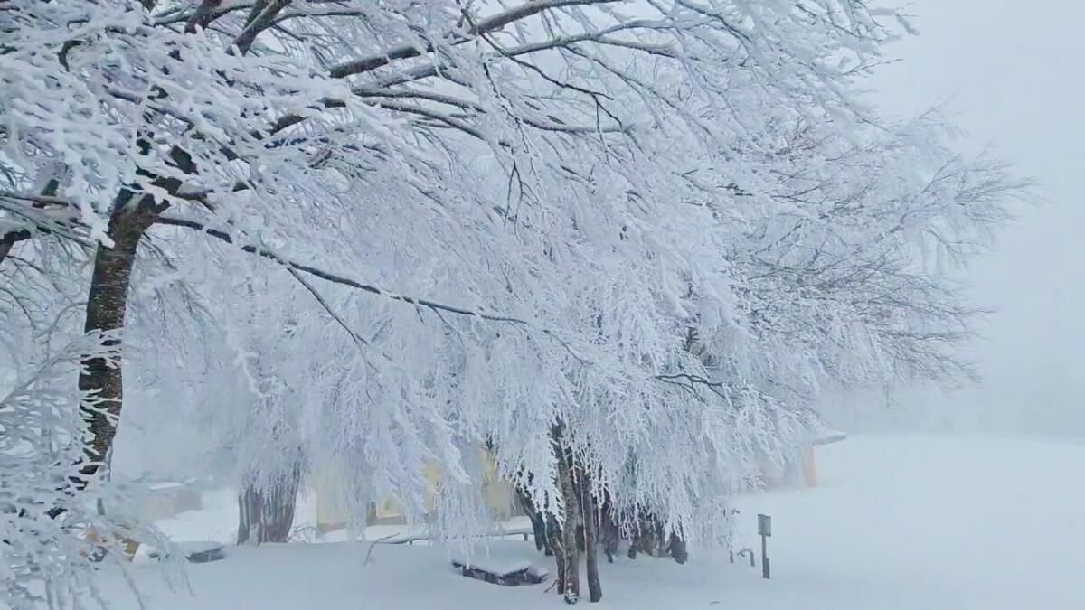 (VIDEO) In Sila pronti a sciare - 