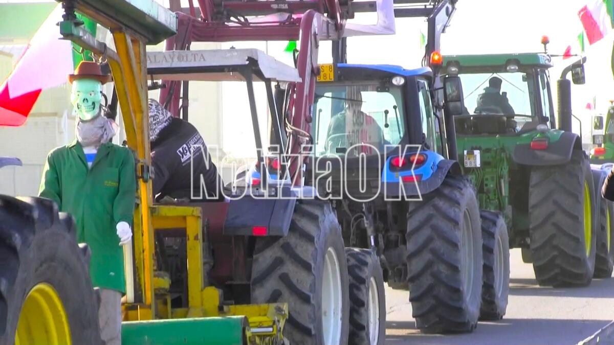 L'Associazione Italiana Coltivatori Cosenza: "Il mondo agricolo ha bisogno di essere ascoltato" - 