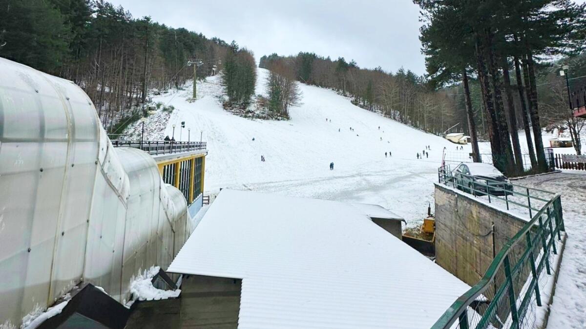 Neve in Sila, i fiocchi bianchi colorano le bellezze del Parco Nazionale - 