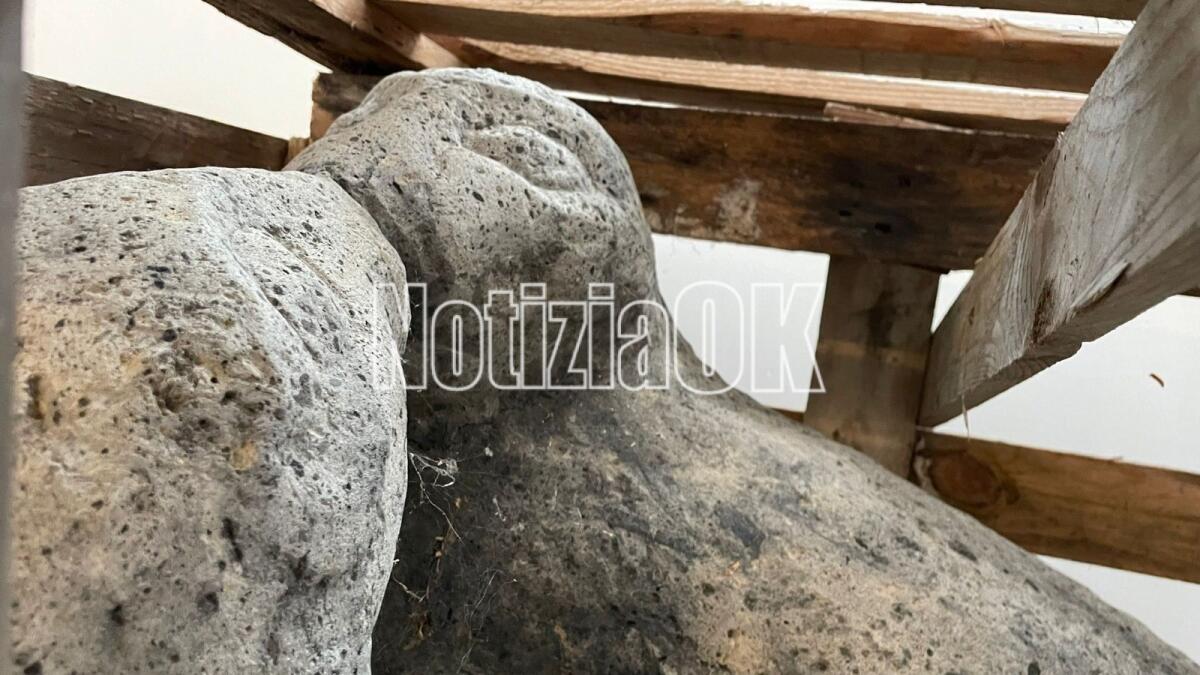 Crotone - Le foche monache impazienti di arrivare sul nostro lungomare -