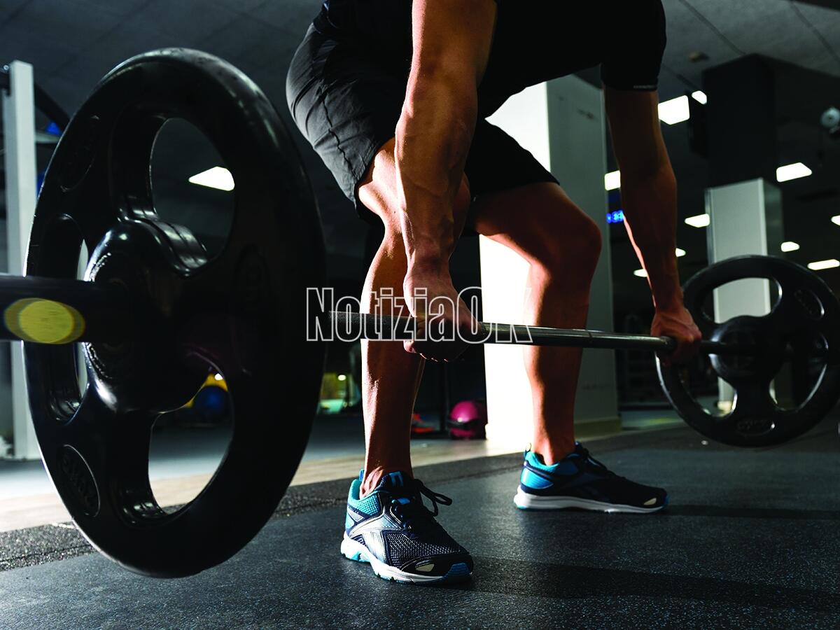 Cosenza è la città dove le palestre costano meno - Closeup of weightlift workout at the gym with barbell. Man wearing sportswear clothes.