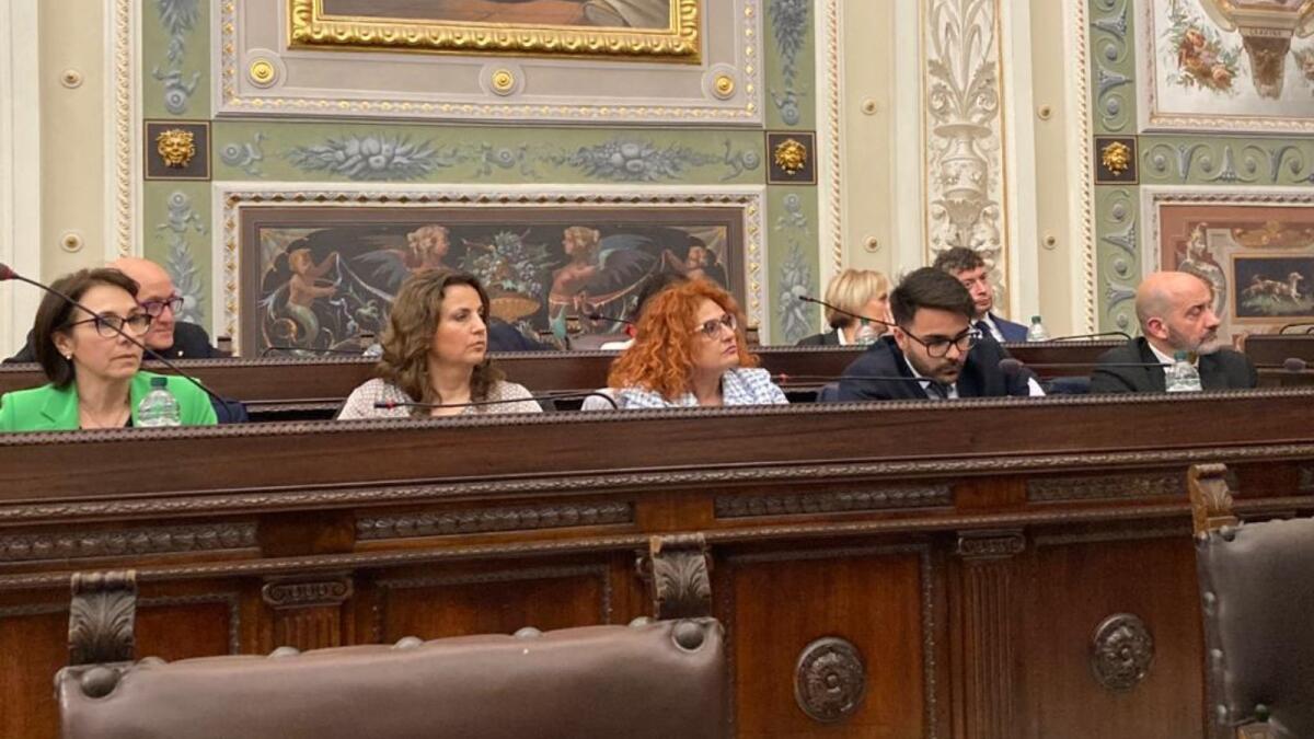 Cosenza, in Consiglio Comunale approda la Vertenza Amaco - 