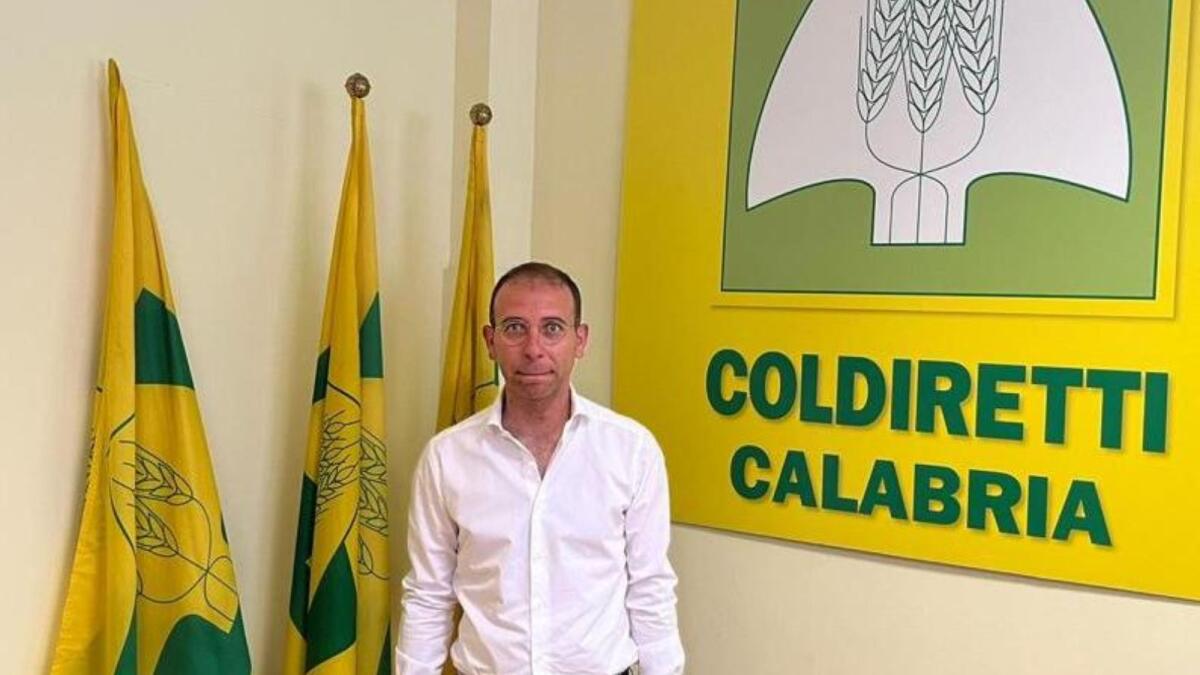 Capodanno, numeri in crescita negli agriturismo:il bilancio del presidente di Terranostra  Calabria Vincenzo Abbruzzese - 