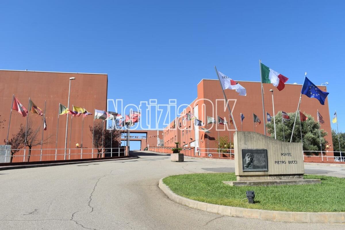 L'Università della Calabria è il grande ateneo in maggiore crescita nel quadriennio al Sud - 