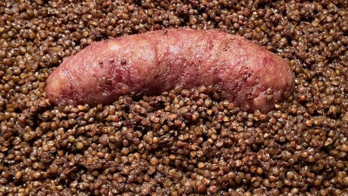 Un morso al sapore - Lode alla tradizione: Pasta lenticchie e cotechino - 