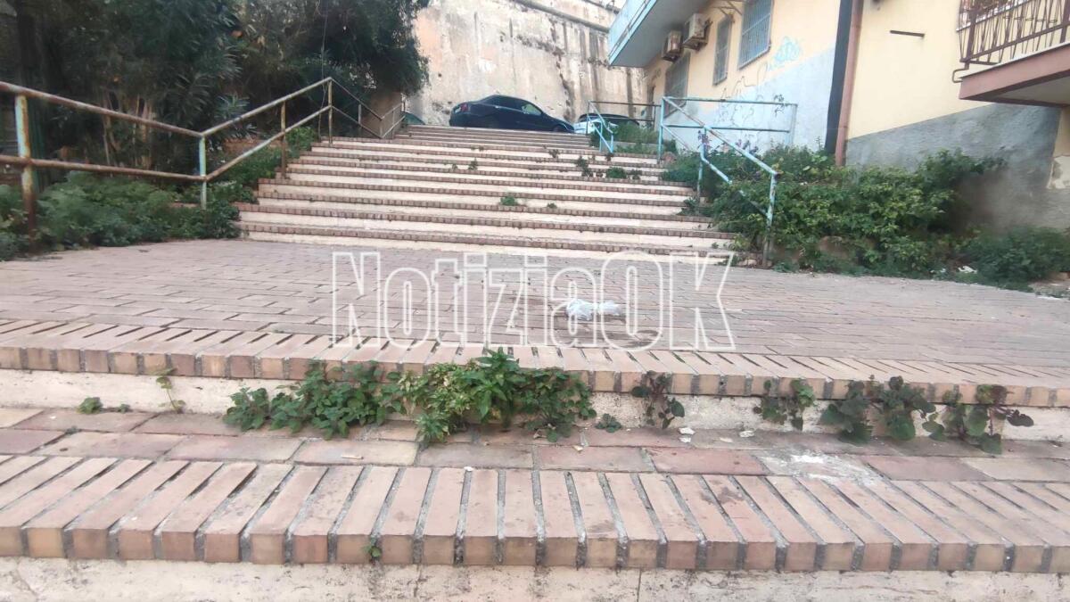 Nei quartieri di Crotone: in città esistono scalinate verdi anche durante l’inverno - 