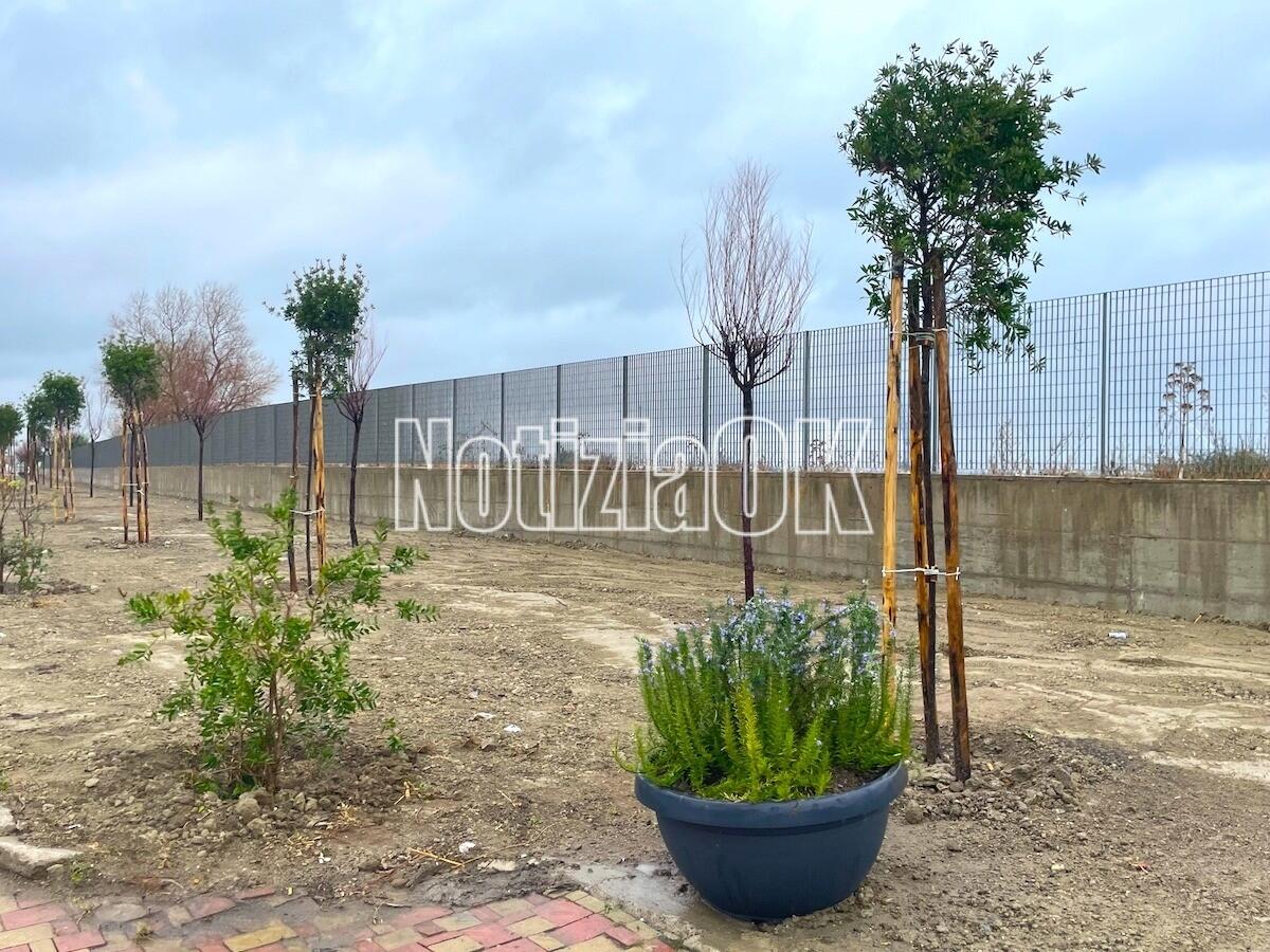 (Foto) Il Giardino di Alì: il bambino adottato da tutti i crotonesi - 