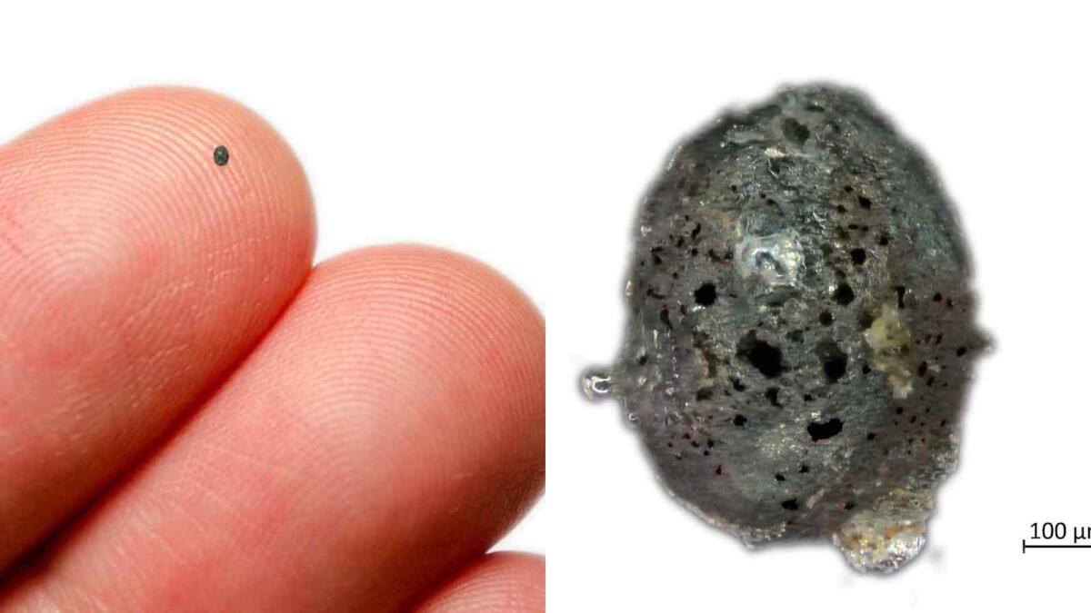 Scoperta in Calabria una micrometeorite "estremamente rara" - Foto: Agenzia Dire