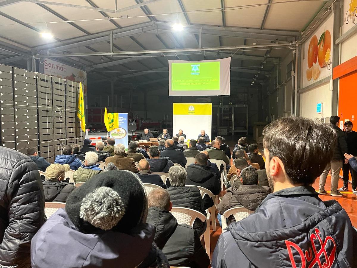 Coldiretti Calabria: delegazione di agricoltori calabresi  in piazza a Bruxelles - 