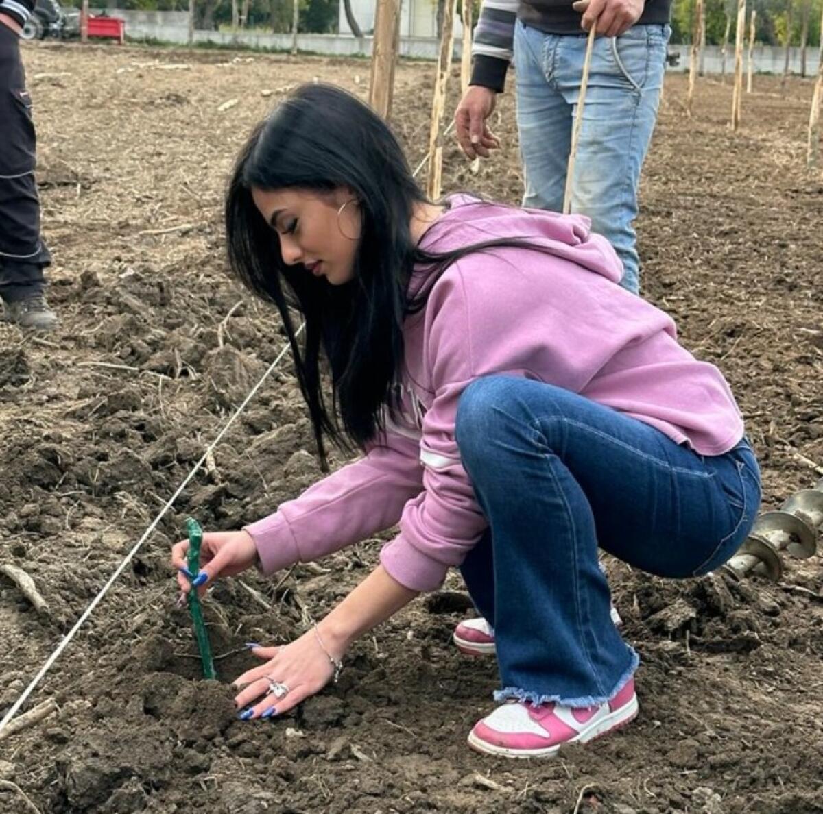 Corigliano-Rossano, al Majorana parte il Vigneto - 
