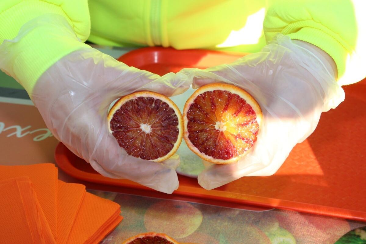 (Foto) Crotone, iniziativa KRolazione al Farmer's Market dove la vitamina si "spreme" - 
