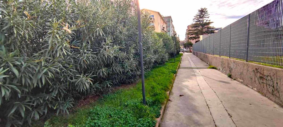 Nei quartieri di Crotone: Corso Mazzini, zona della città ancora poco valorizzata - 