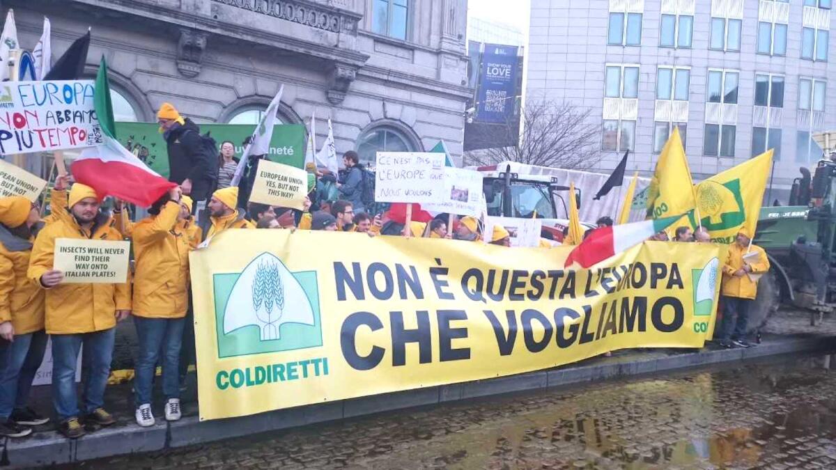 Taglio al Made in Italy, Coldiretti in piazza a Bruxelles - 