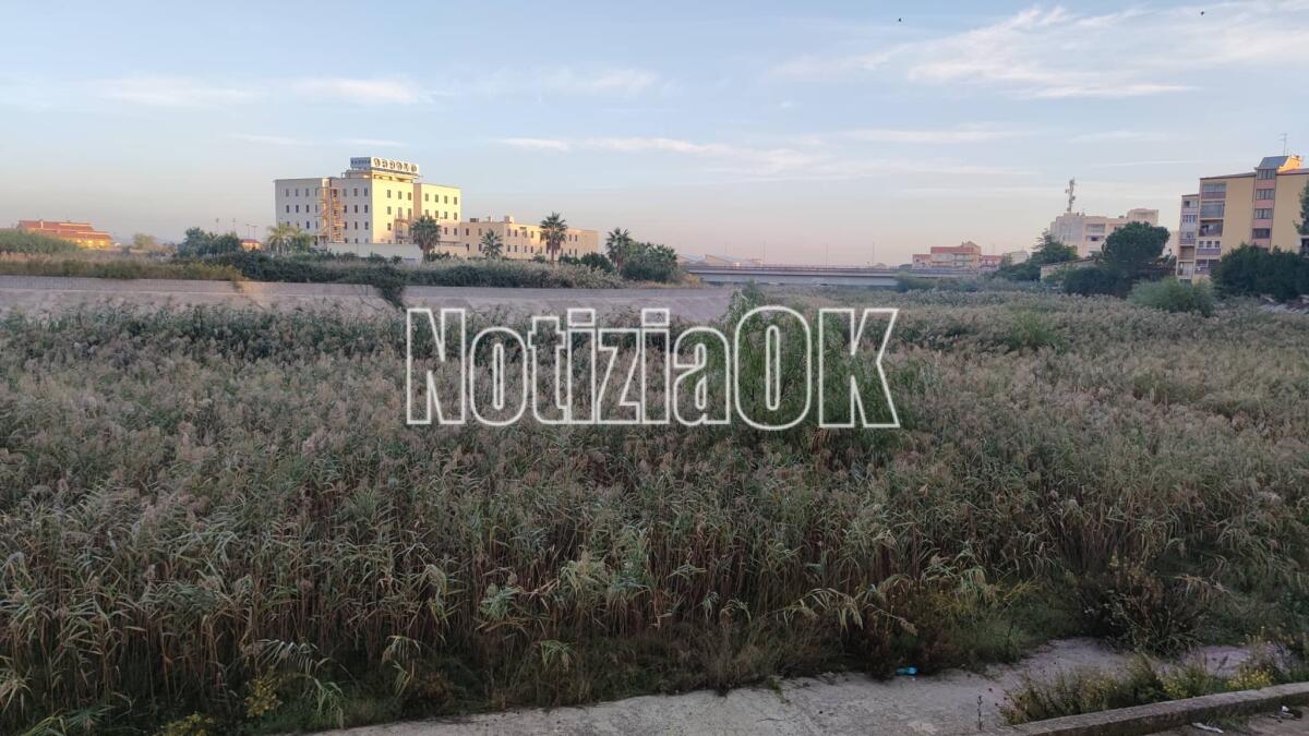 Crotone - Il Fiume Esaro sarà pulito: lo annuncia il Comitato di quartiere "Fondo Gesù nel cuore" - 