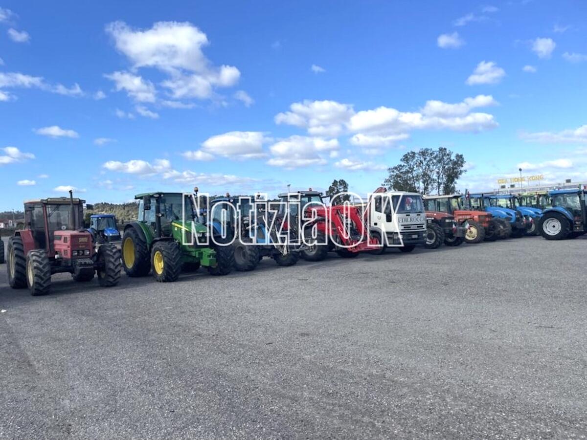 Talerico (Noi Moderati):  “Unirsi alla battaglia degli agricoltori per tutelare l’economia della Calabria” - 