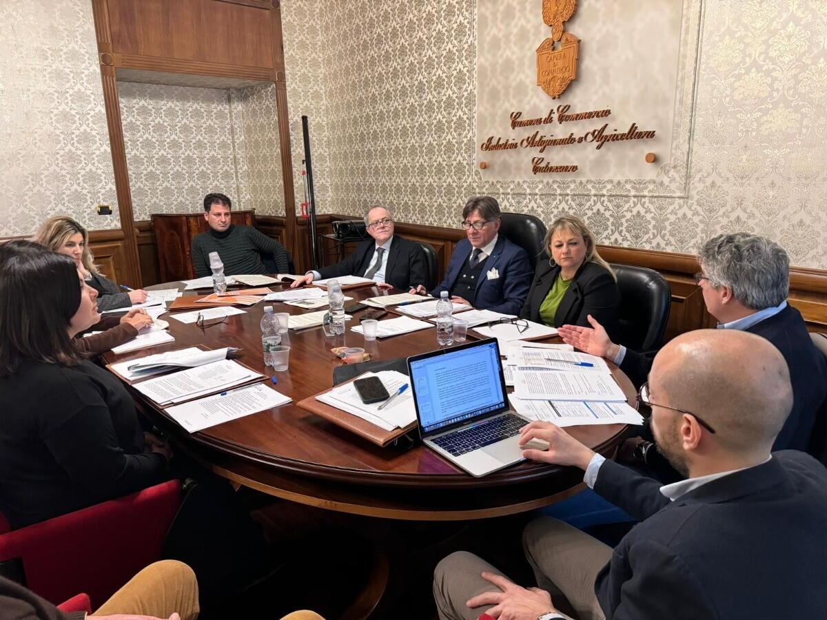 Camera di Commercio, ok al piano integrato di attività e organizzazione 2024-2026 - 
