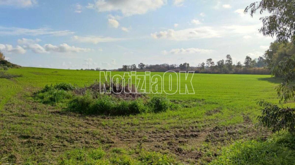 Coldiretti Calabria, sale la spesa per il cibo ma gli agricoltori rimangono sottopagati - 