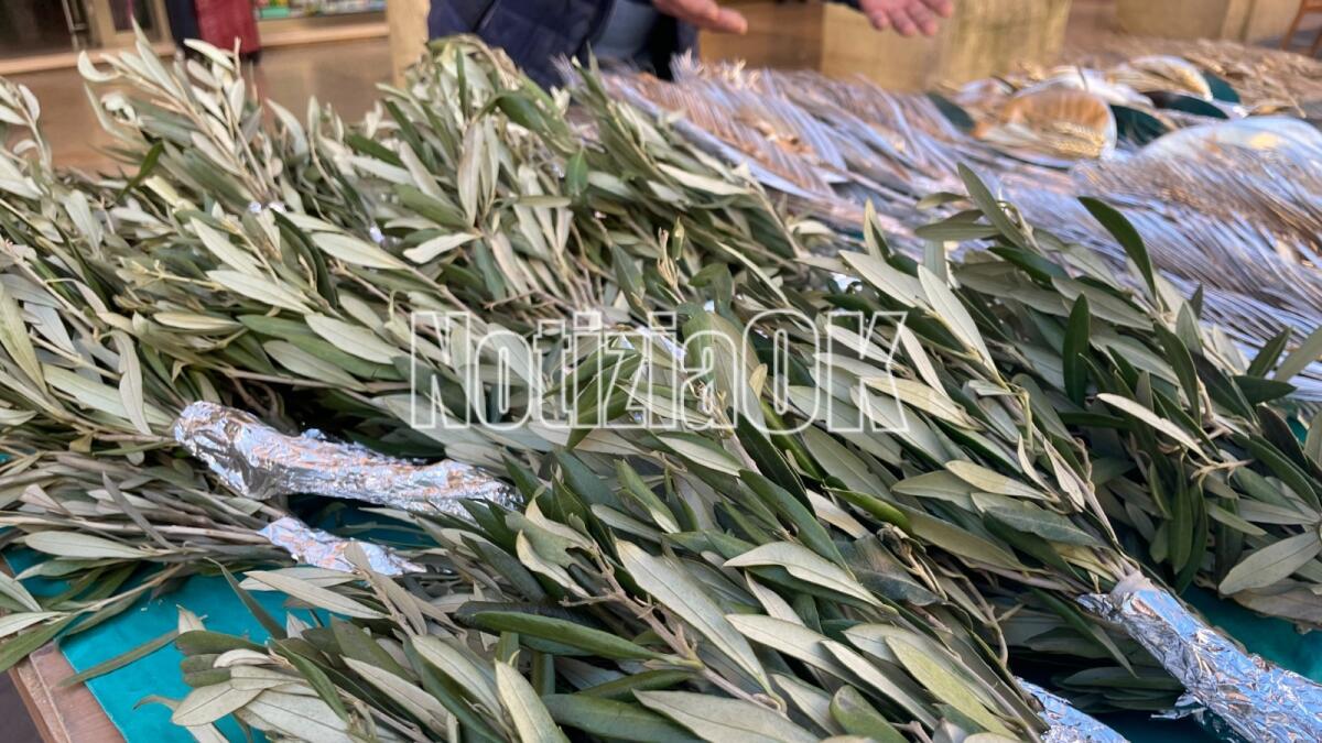 Crotone, il Comandante della Municipale: «La tradizione non può prescindere dalla legalità» - 