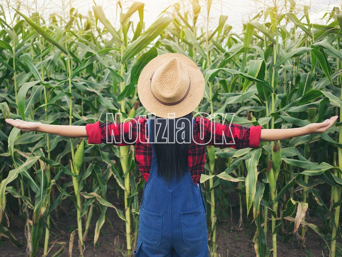 8 Marzo - in Calabria sempre di più spazio alle donne in agricoltura – I numeri - 