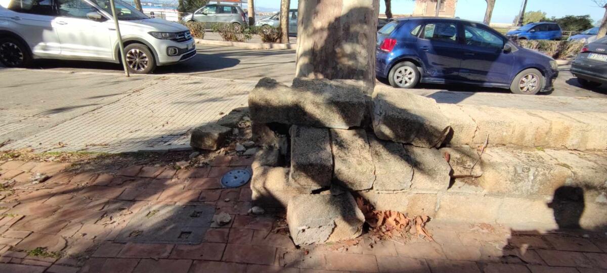 Nei quartieri di Crotone: servono interventi in viale Regina Margherita - 