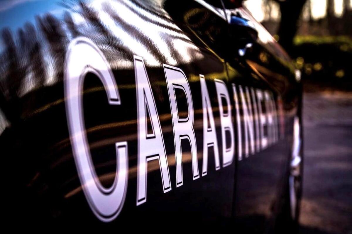 Cronaca - Smantellata rete di traffico e spaccio di stupefacenti: undici arresti - 