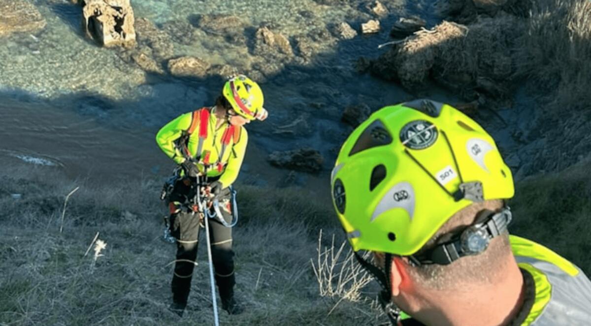 Crotone, Guardie Ecozoofile: aperte le iscrizioni - 