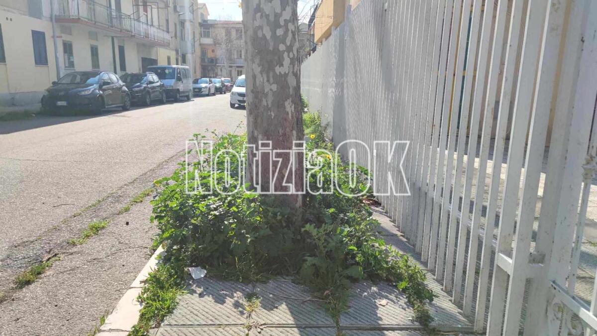(Foto) Nei quartieri di Crotone: in via Fragalà marciapiedi inutilizzabili - 