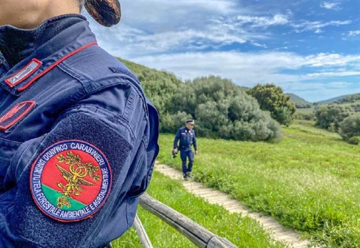 Bonifica - Dopo l'esercito anche i Carabinieri - 