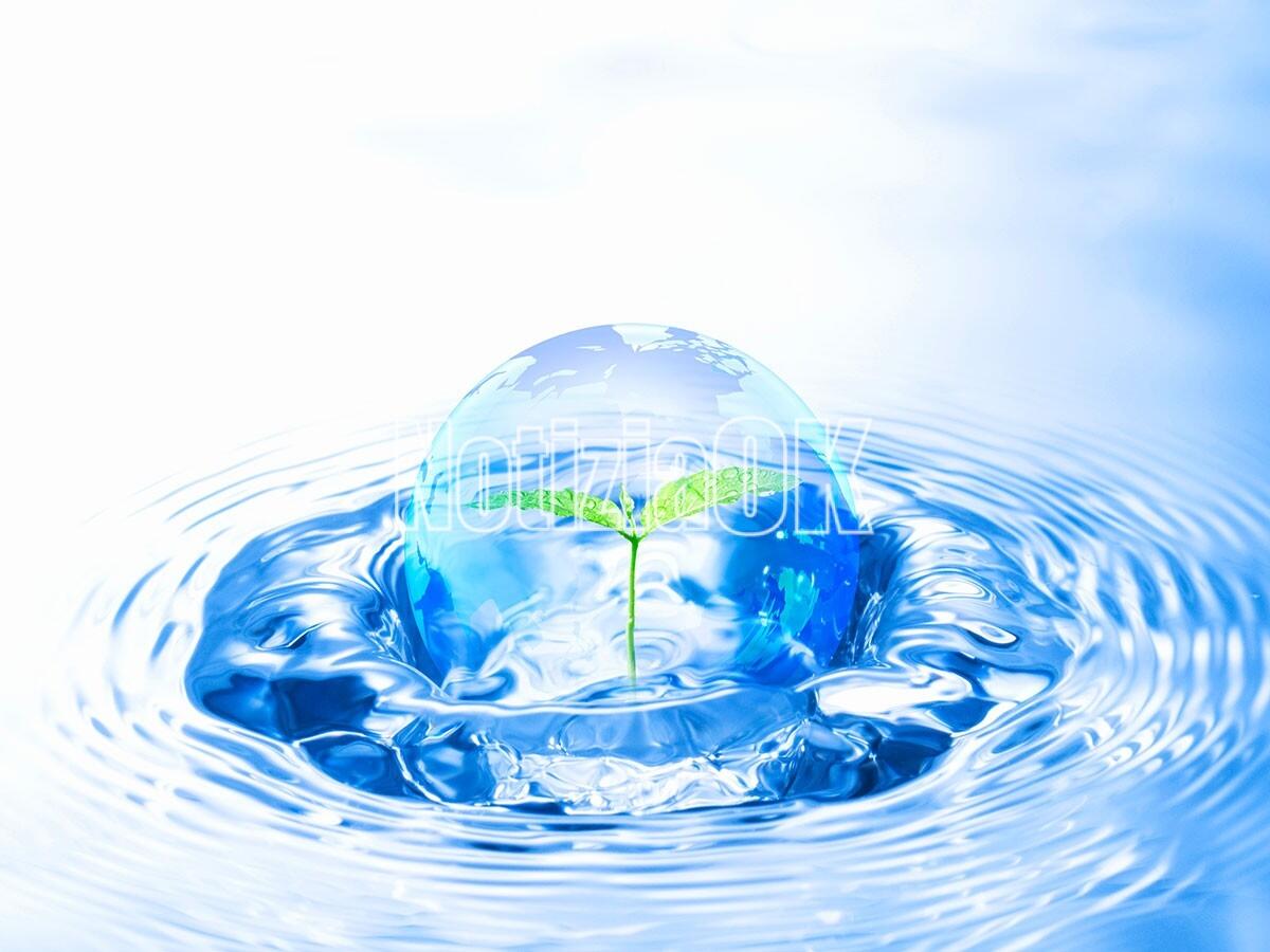 Giornata dell'acqua: l'acqua piovana non raccolta, una perdita in Italia dell'89% - 