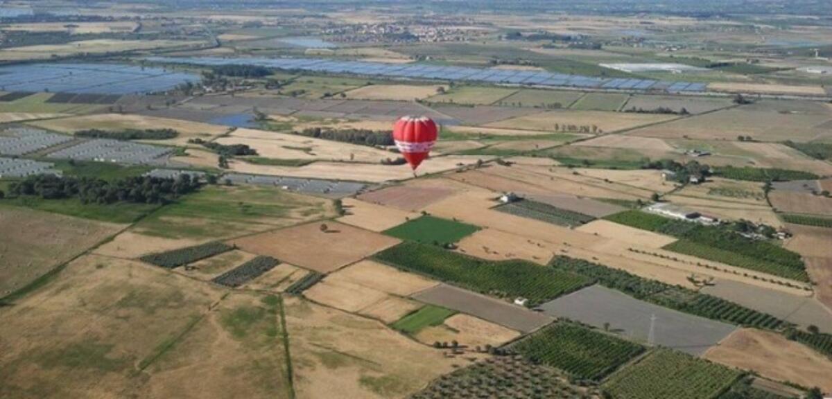 Coldiretti Calabria, giornata del paesaggio: gli agricoltori custodiscono quasi la metà del paesaggio regionale - 