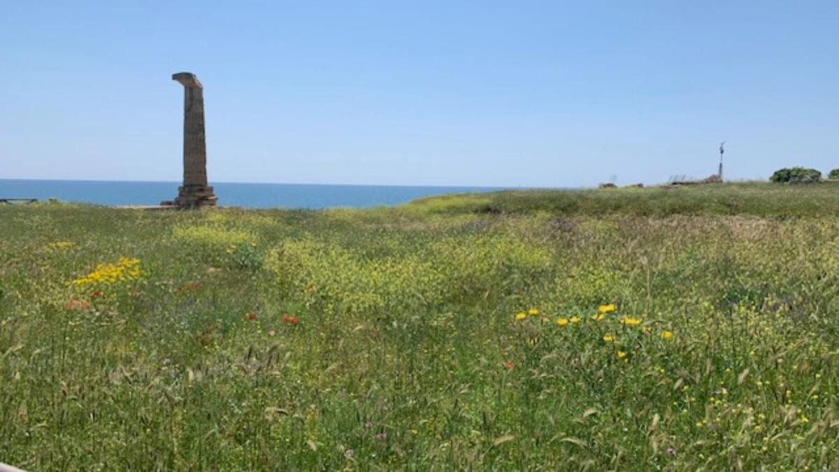 Crotone - Lungomare e Parco Archeologico, al via i lavori - 