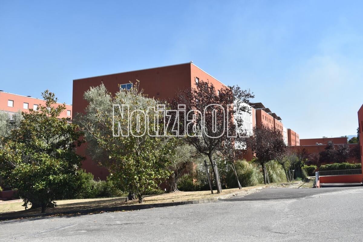 Unical, la pedagodia del cambiamento di Libera in Calabria nelle aule di Scienze dell’Educazione - 