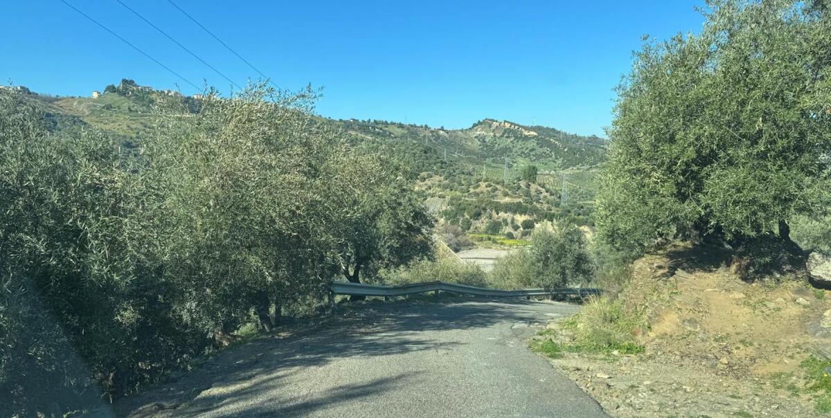 Caloveto, la strada Ferrante - Fiumarella sarà messa in sicurezza - 