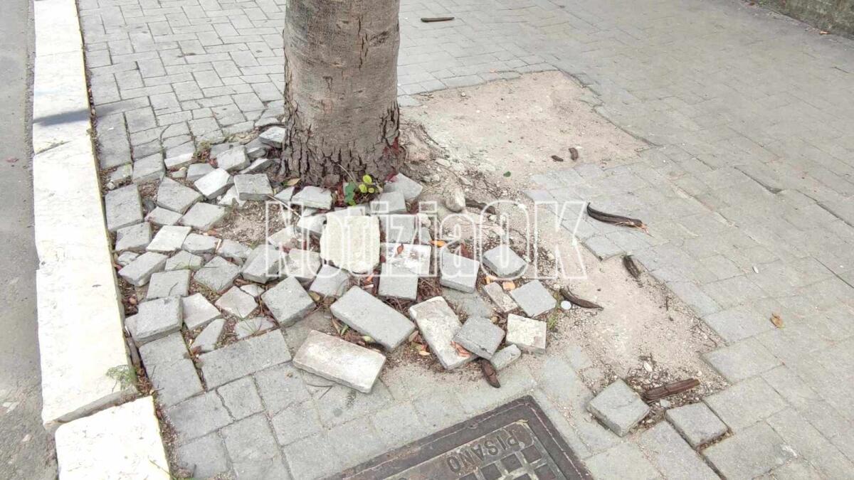 (Foto) Nei quartieri di Crotone: mattonelle volanti lungo via Giovanni Paolo II - 