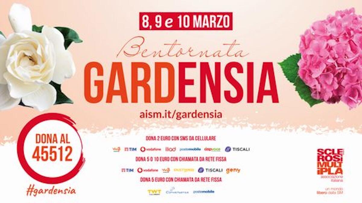 Anche a Crotone l'Aism scende in piazza per donare speranza - 