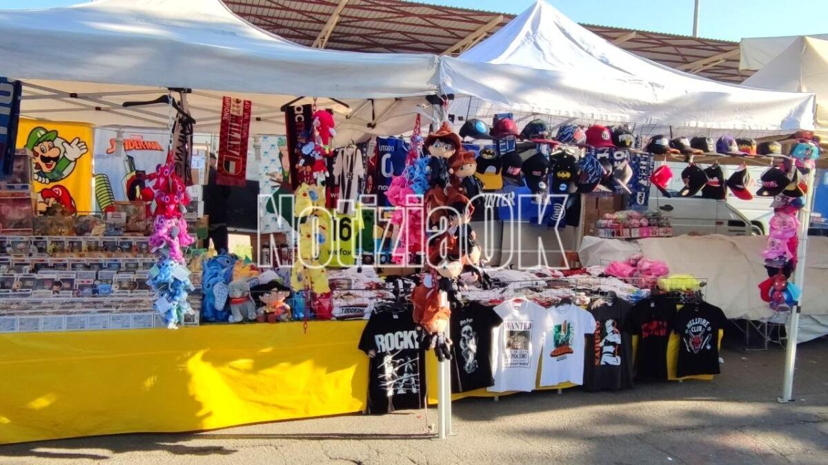 Crotone, su viale Regina Margherita il tradizionale mercato - 