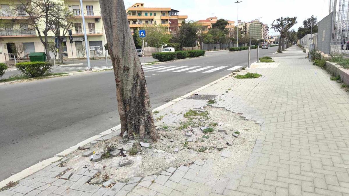 Nei quartieri di Crotone: lungo via Giovanni Paolo II c'è bisogno di interventi - 