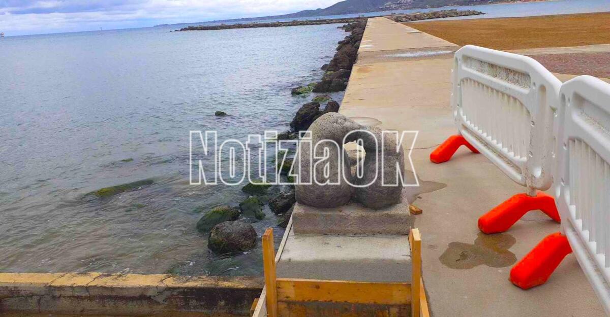 (FOTO) Crotone - Le foche monache innamorate sulla passerella -