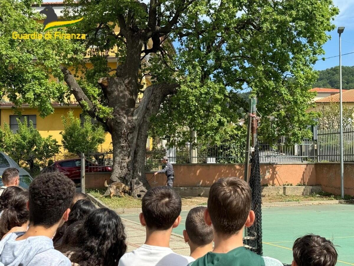 Verzino - La Guardia di finanza nelle scuole per la cultura della legalità - 