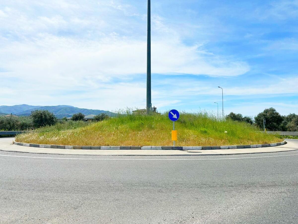 "Basta vittime sulla SS 106" chiede interventi mirati sulla vegetazione - 