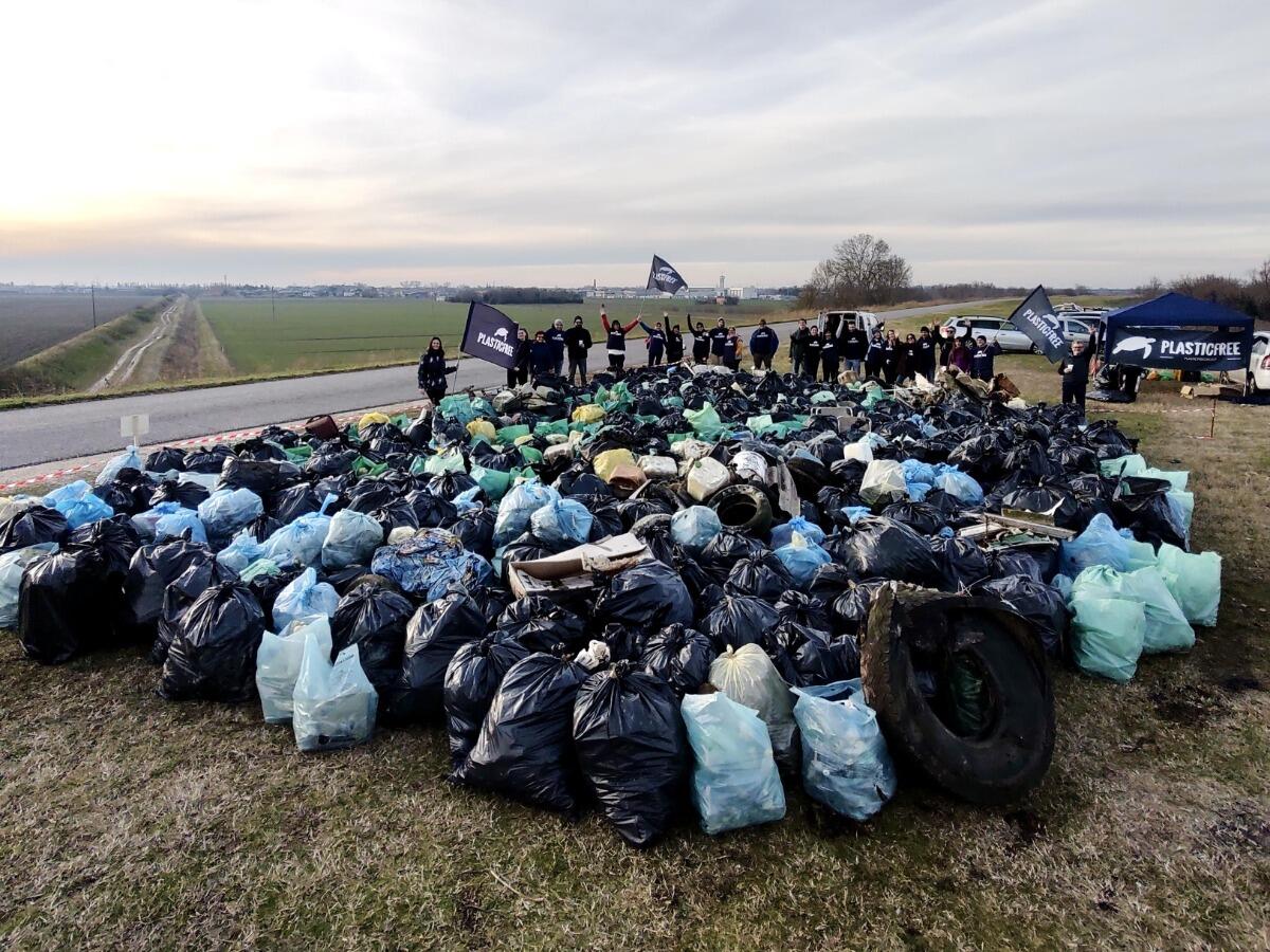 Calabria, nel weekend i volontari di Plastic Free tornano a ripulire le spiagge - 