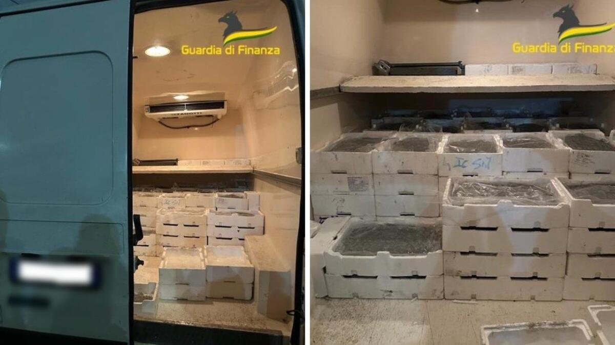 Contrasto alla pesca di frodo, sequestrati 800 kg di novellame - 