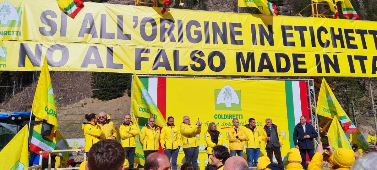 “Un carico di patate tedesche spacciate per prodotti della Sila”, la denuncia di Coldiretti Calabria - 