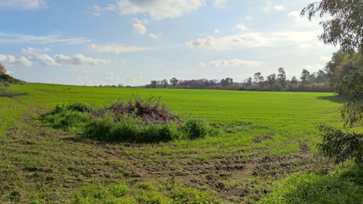 Nascono "Case rifugio" in campagna per le vittime di violenza - 