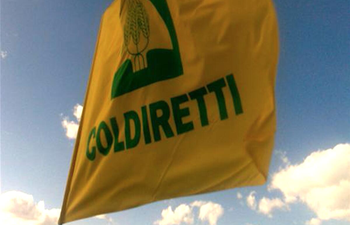 Coldiretti, assemblee in diretta in Italia, c'è anche Villa Santa Caterina - Montalto Uffugo - 